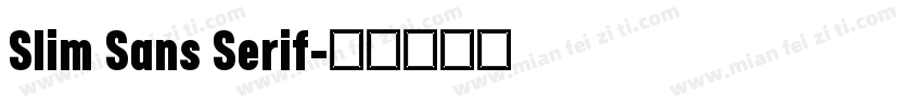 Slim Sans Serif字体转换